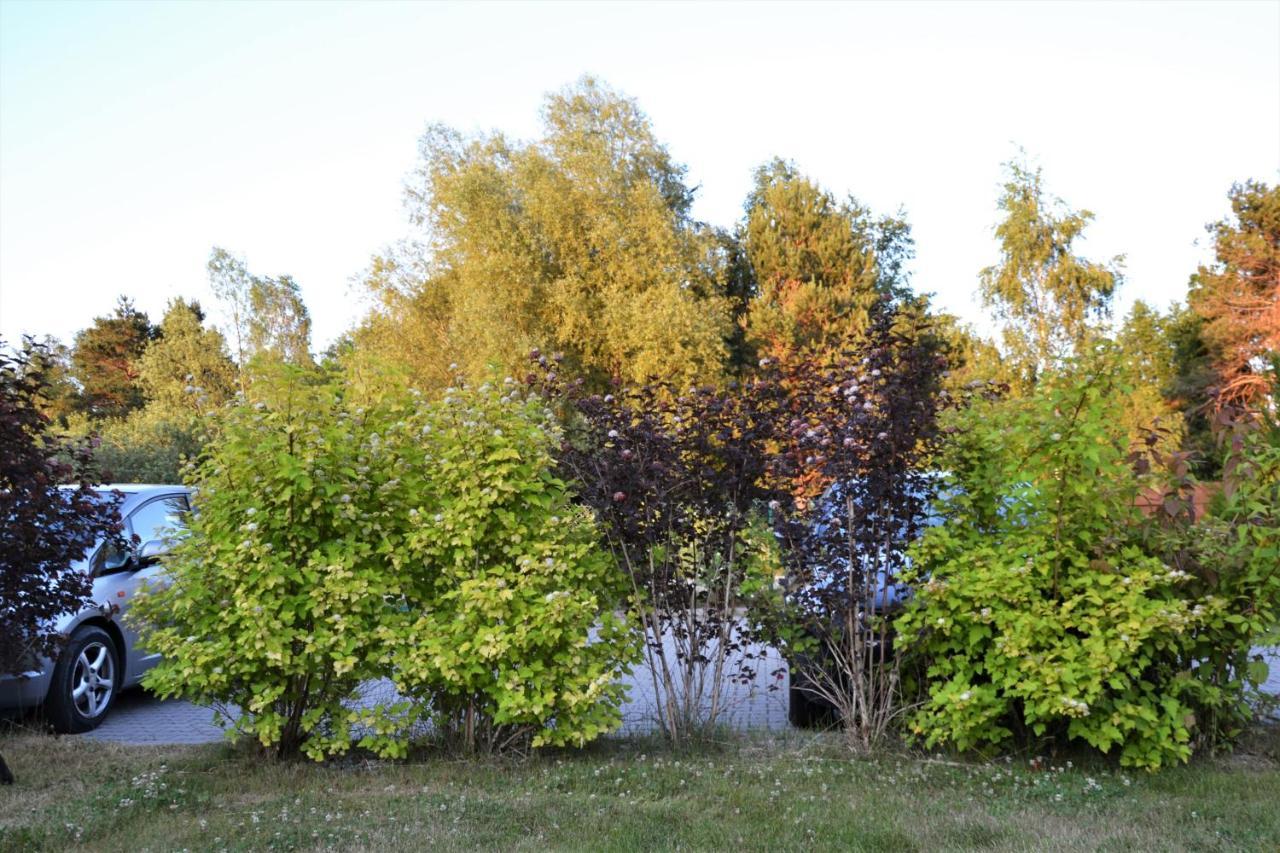 Domki Holenderskie ,, Latajacy Holender" Dębki Buitenkant foto